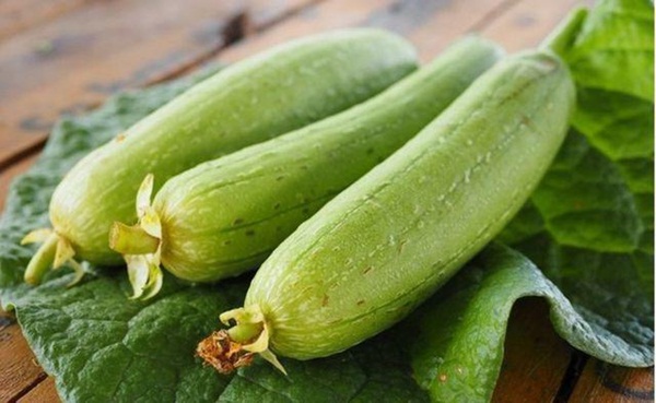 Bệnh nhân suýt mất mạng sau khi ăn món mướp xào, đừng ăn mướp có dấu hiệu này-2