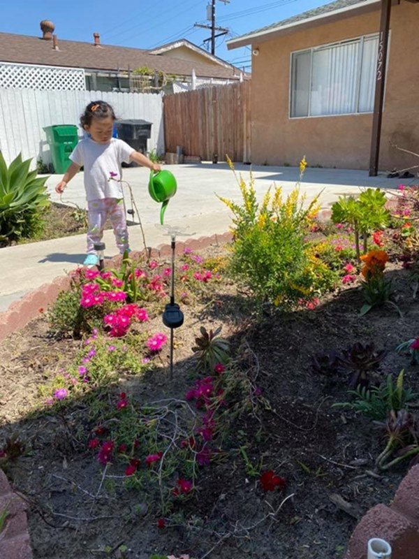 Sang Mỹ định cư với vợ, Hoàng Anh ở nhà chăm con, làm vườn giờ quả sai lúc lỉu-9