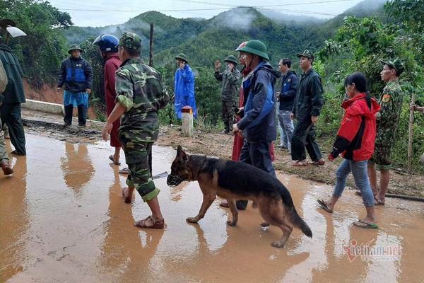 Hiện trường tìm kiếm cứu nạn 22 cán bộ, chiến sỹ bị vùi lấp ở Quảng Trị-16