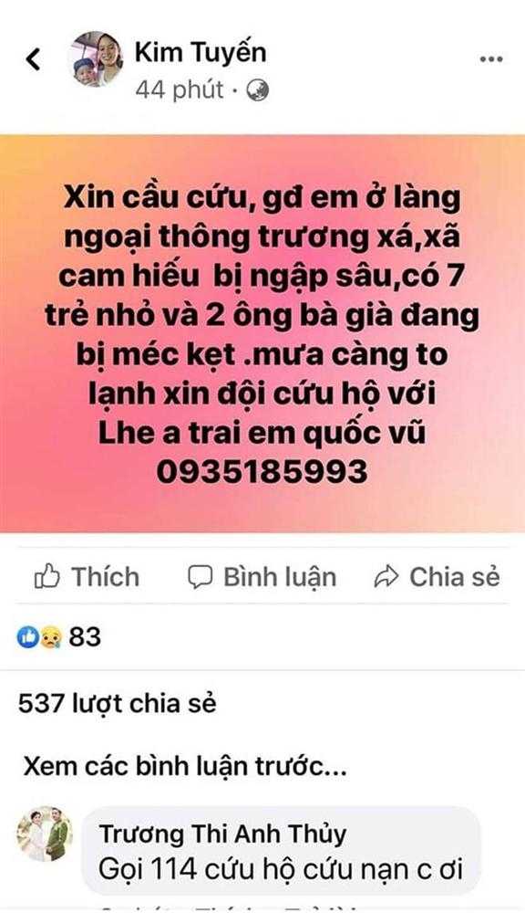 Lũ dâng cao, người dân Quảng Trị lên mạng cầu cứu: Nhà em đang vịn cửa sổ. Cứu em với-10