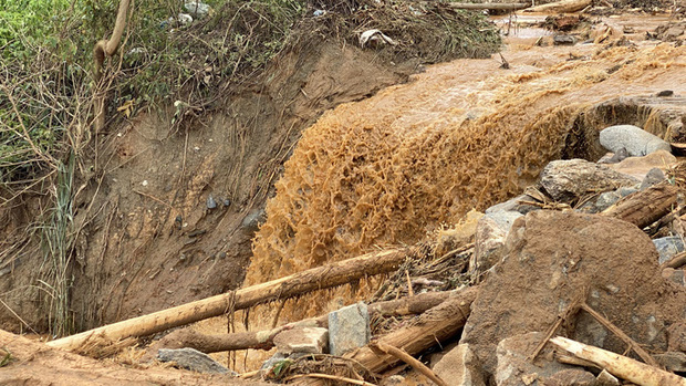 Rùa ơi, con khoe là có quà cho mẹ, con đâu rồi…”-6