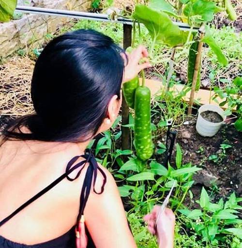 Không chỉ từ thiện khắp nơi, Thủy Tiên còn nổi tiếng thảo ăn, trồng rau được cho hết-3