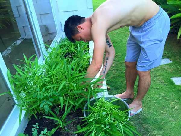 Không chỉ từ thiện khắp nơi, Thủy Tiên còn nổi tiếng thảo ăn, trồng rau được cho hết-7