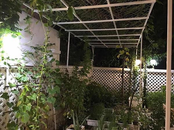 Không chỉ từ thiện khắp nơi, Thủy Tiên còn nổi tiếng thảo ăn, trồng rau được cho hết-9