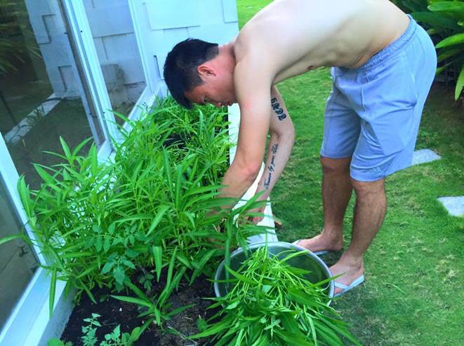 Không chỉ từ thiện khắp nơi, Thủy Tiên còn nổi tiếng thảo ăn, trồng rau được cho hết-15