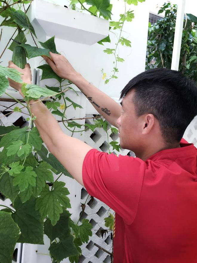 Không chỉ từ thiện khắp nơi, Thủy Tiên còn nổi tiếng thảo ăn, trồng rau được cho hết-17