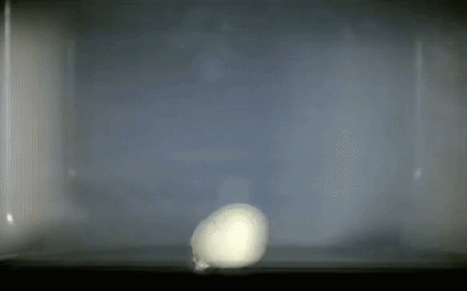 4 thực phẩm vốn ngon và bổ dưỡng nhưng sẽ trở thành độc dược” khi làm nóng bằng lò vi sóng, lười cỡ nào cũng tuyệt đối tránh bỏ vào-1