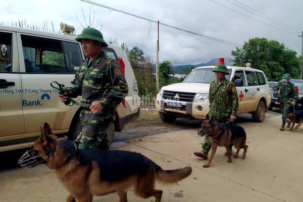 Tìm thấy thi thể chiến sĩ thứ 19 tử nạn ở Quảng Trị-13