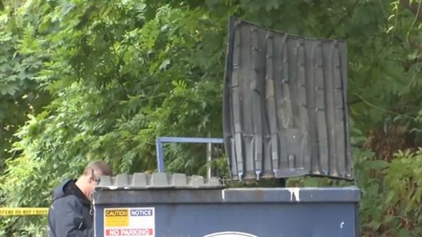 Đi đổ rác nghe thấy tiếng kêu yếu ớt như mèo con, người đàn ông mở nắp rồi kinh hoàng khi nhìn vào bên trong, hé lộ tội ác của nữ bảo mẫu-1