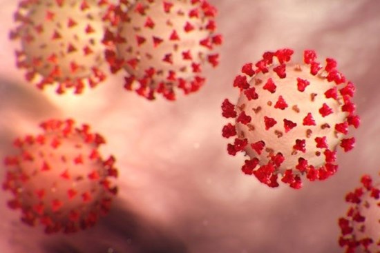 Phát hiện mới về chủng virus gây đại dịch Covid-19