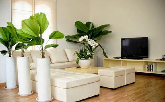 Ngôi nhà sở hữu 5 điều đại cát này, gia chủ vô cùng may mắn, phát tài giàu có-2