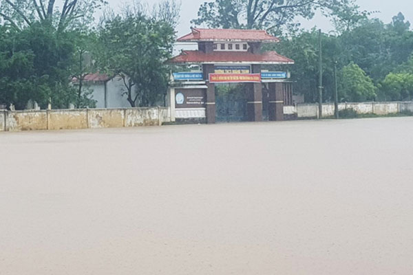 TP HCM: Học sinh nghỉ tết Nguyên đán 11 ngày-2