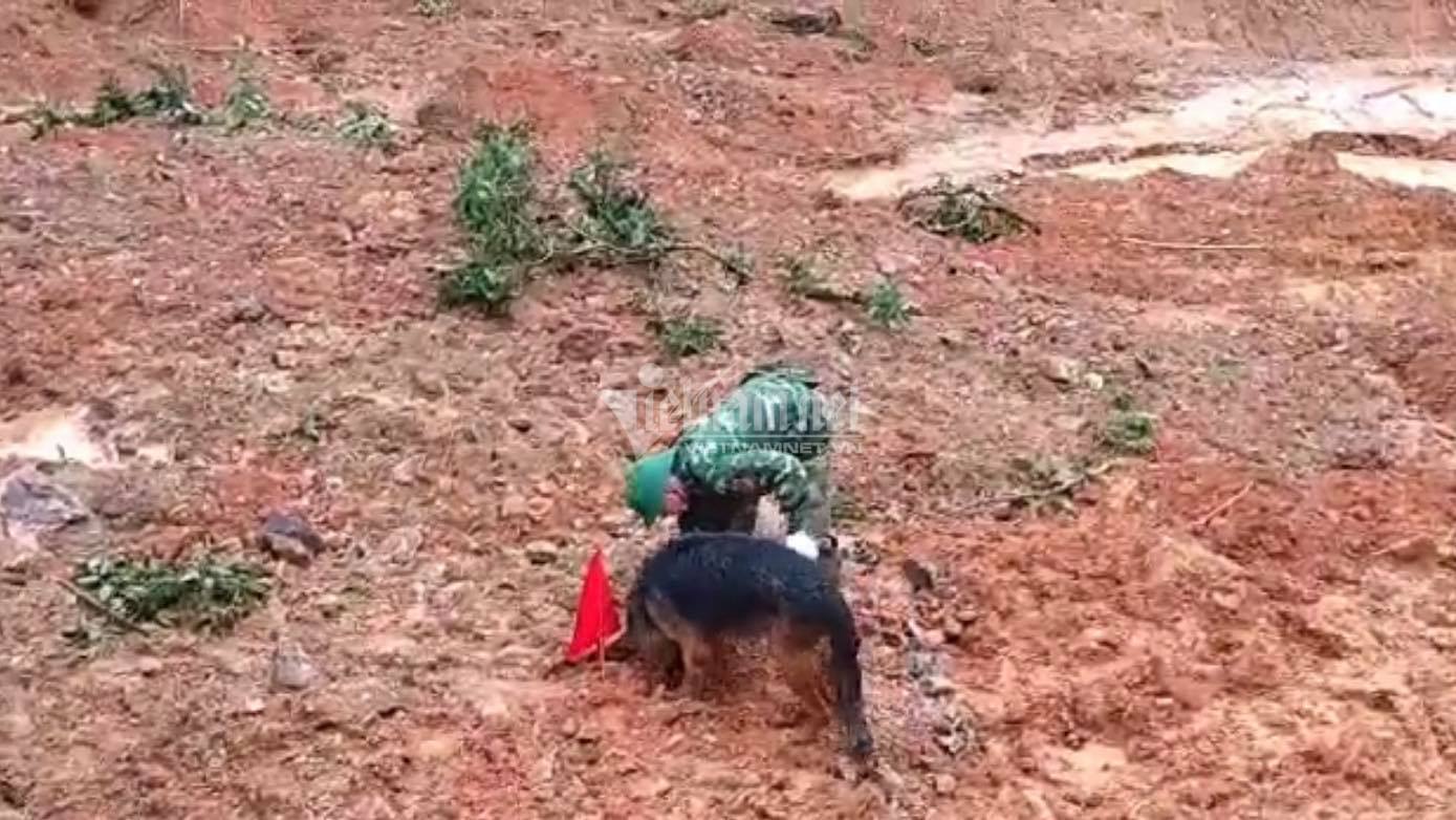 Tìm thấy thi thể chiến sĩ thứ 19 tử nạn ở Quảng Trị-3