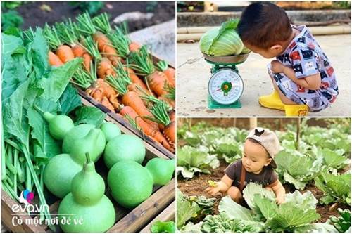 Bỏ phố lấy chồng Đắk Lắk, nàng dâu choáng khi chồng dẫn ra kho lương thực 700m2 của gia đình-2