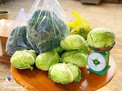 Bỏ phố lấy chồng Đắk Lắk, nàng dâu choáng khi chồng dẫn ra kho lương thực 700m2 của gia đình-4