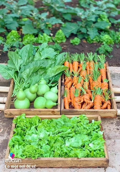 Bỏ phố lấy chồng Đắk Lắk, nàng dâu choáng khi chồng dẫn ra kho lương thực 700m2 của gia đình-6