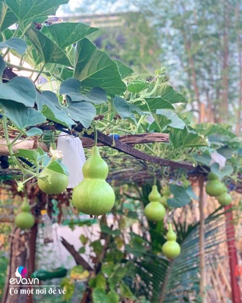 Bỏ phố lấy chồng Đắk Lắk, nàng dâu choáng khi chồng dẫn ra kho lương thực 700m2 của gia đình-7