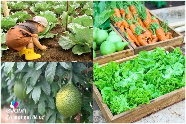 Bỏ phố lấy chồng Đắk Lắk, nàng dâu choáng khi chồng dẫn ra kho lương thực 700m2 của gia đình-9