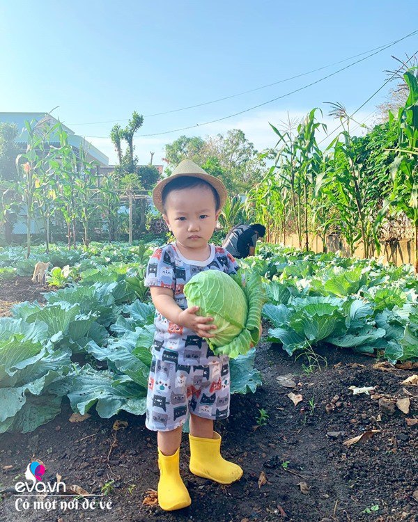 Bỏ phố lấy chồng Đắk Lắk, nàng dâu choáng khi chồng dẫn ra kho lương thực 700m2 của gia đình-16