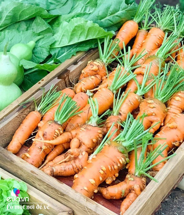 Bỏ phố lấy chồng Đắk Lắk, nàng dâu choáng khi chồng dẫn ra kho lương thực 700m2 của gia đình-17