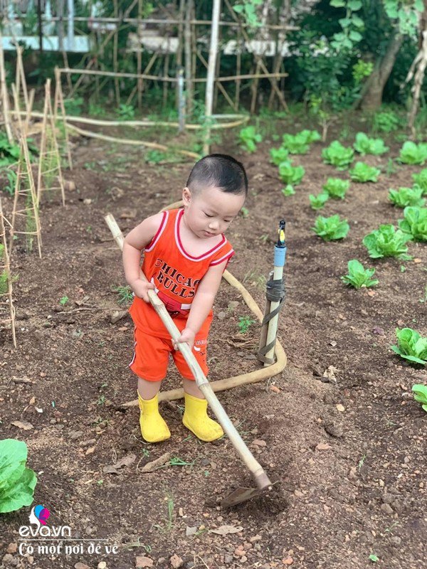 Bỏ phố lấy chồng Đắk Lắk, nàng dâu choáng khi chồng dẫn ra kho lương thực 700m2 của gia đình-18