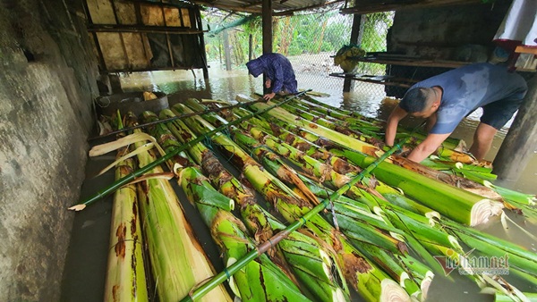 Giải cứu cụ già bị gãy cả tay, cả chân khỏi rốn lũ Quảng Bình-6