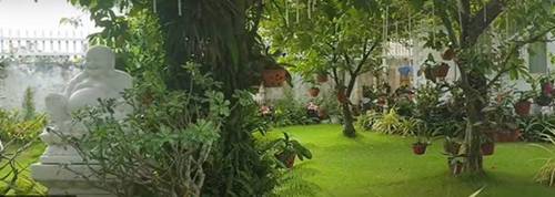 NSND Bạch Tuyết hưởng tuổi già trong biệt phủ riêng, cho phủ vàng lên tượng-3