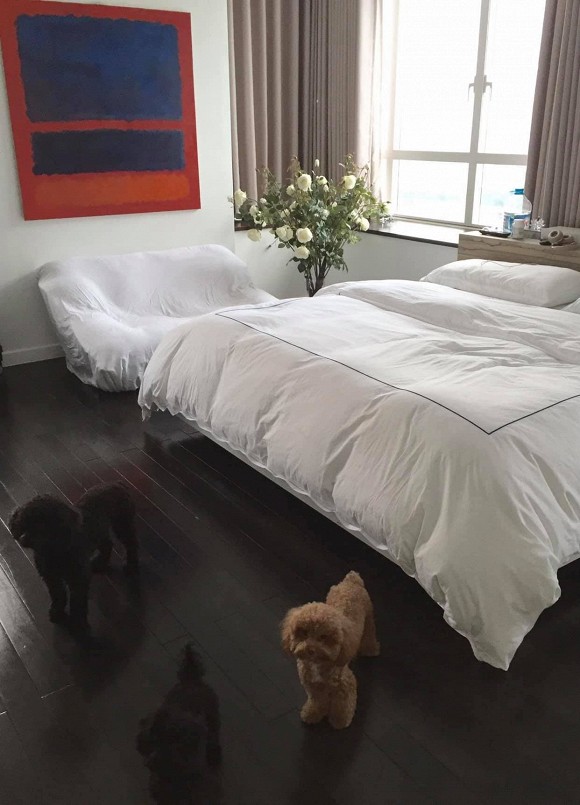 Ca sĩ Dương Triệu Vũ rao bán căn hộ 168m2-6