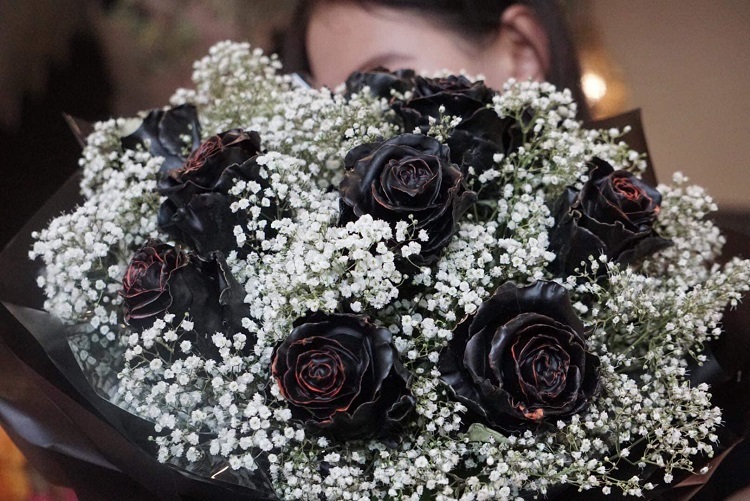 Tiết lộ bất ngờ về hoa hồng đen giá 500.000 đồng/bông được đại gia Hà thành săn lùng-2