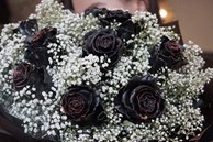 Tiết lộ bất ngờ về hoa hồng đen giá 500.000 đồng/bông được đại gia Hà thành săn lùng