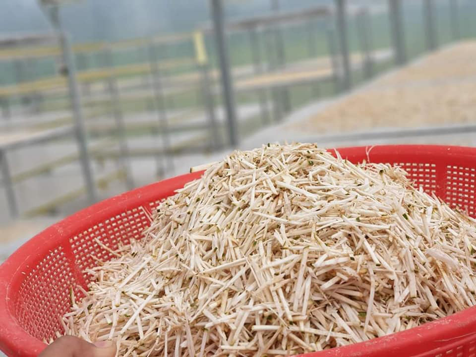 Đặc sản lạ Sóc Trăng: Loại trà không làm từ cây chè, giá 1 triệu/kg-3