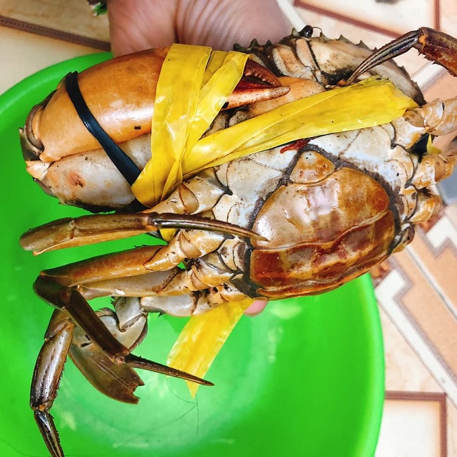 Chị em Hà thành lùng mua hải sản thương binh”, dân buôn mách nước” cách chọn-1