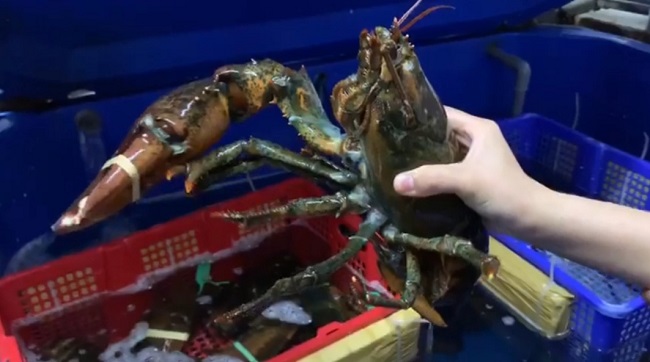 Chị em Hà thành lùng mua hải sản thương binh”, dân buôn mách nước” cách chọn-2