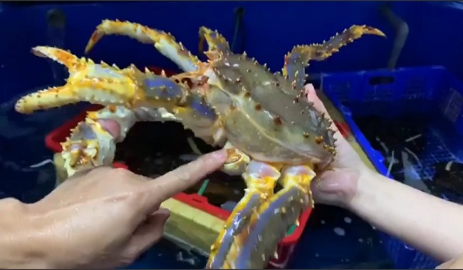 Chị em Hà thành lùng mua hải sản thương binh”, dân buôn mách nước” cách chọn-3