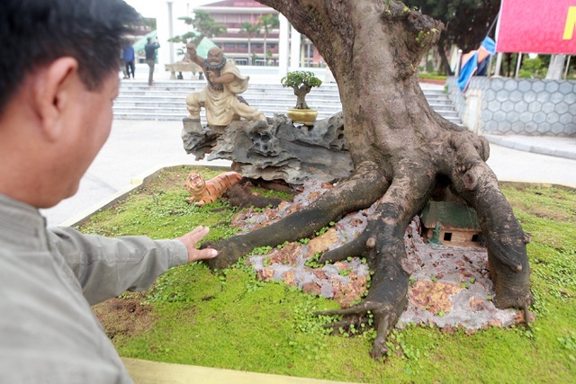 Sửng sốt với cây khế cổ dáng long đẹp nhất Việt Nam có giá 5 tỷ đồng-7