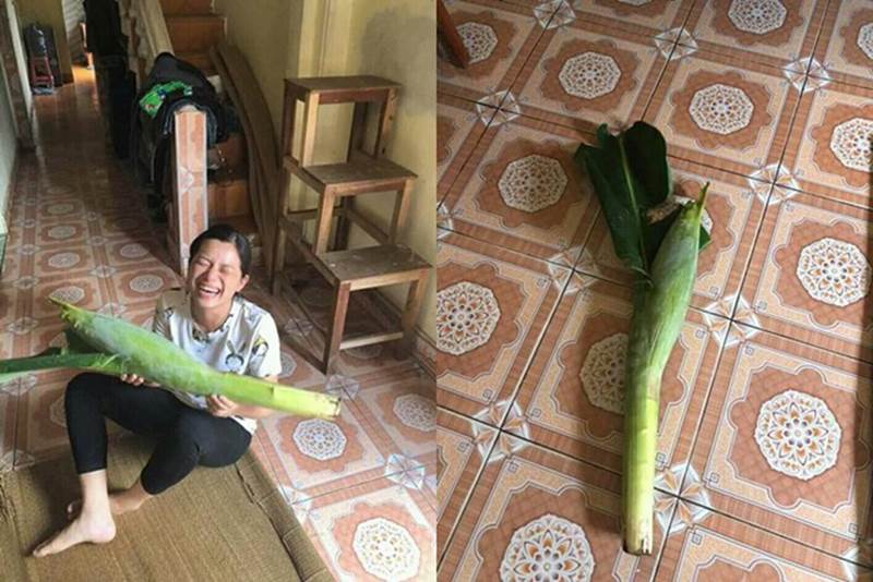 Sau ngày 20/10 đầy ý nghĩa, dân mạng thi nhau khoe những món quà vô cùng độc đáo, IQ vô cực cũng chưa thể nào nghĩ ra được cảnh tượng này-4