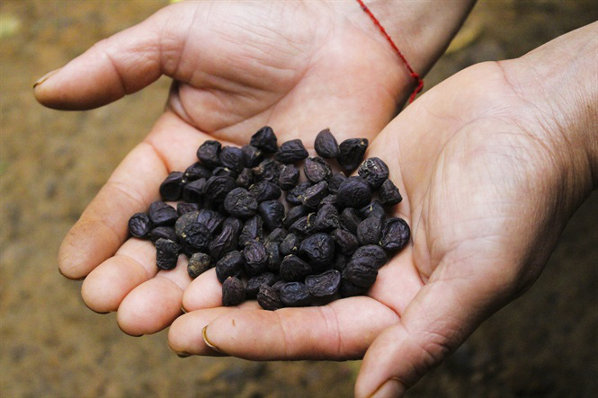 Tứ đỉnh gia vị đặc sản Tây Bắc thơm nức nở, nhiều loại có tiền triệu chưa chắc mua được-8