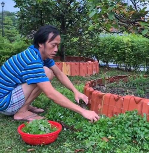 NSƯT Hoài Linh cả năm không đi diễn chỉ ở nhà thờ tổ, giờ nhìn thành quả mới bất ngờ-1