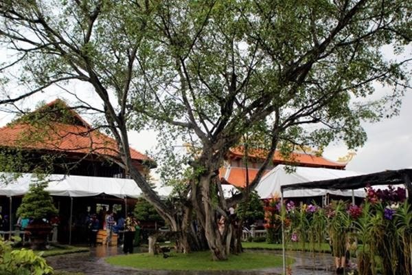 NSƯT Hoài Linh cả năm không đi diễn chỉ ở nhà thờ tổ, giờ nhìn thành quả mới bất ngờ-5