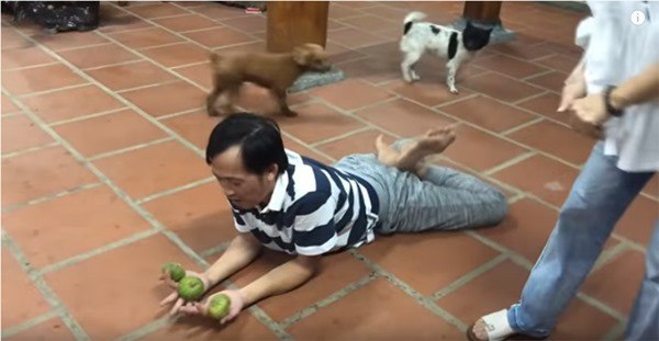 NSƯT Hoài Linh cả năm không đi diễn chỉ ở nhà thờ tổ, giờ nhìn thành quả mới bất ngờ-14