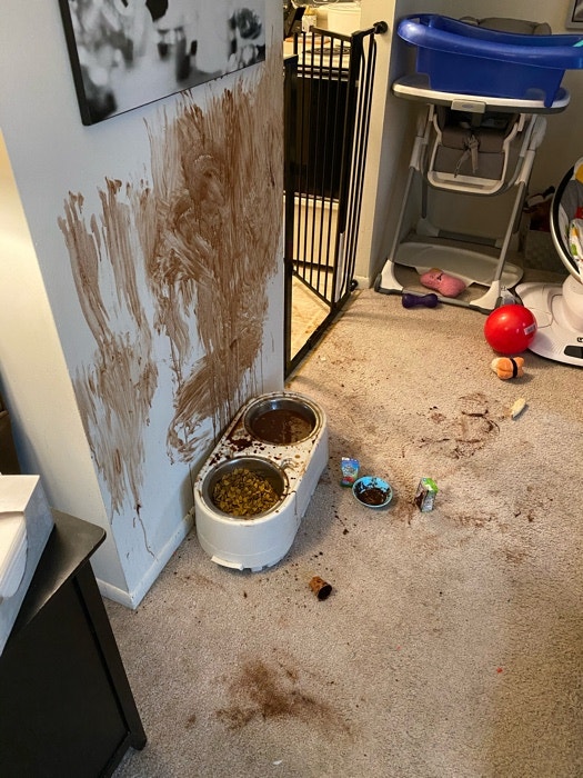 Chùm ảnh: Nhà có con nhỏ, vài phút im lặng của trẻ là nhà cửa tan hoang ngay lập tức-10