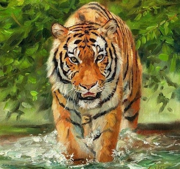 Phát tài cuối tuần (24-25/10), vận may dồn dập kéo đến với con giáp này, đếm tiền cũng mỏi tay-1