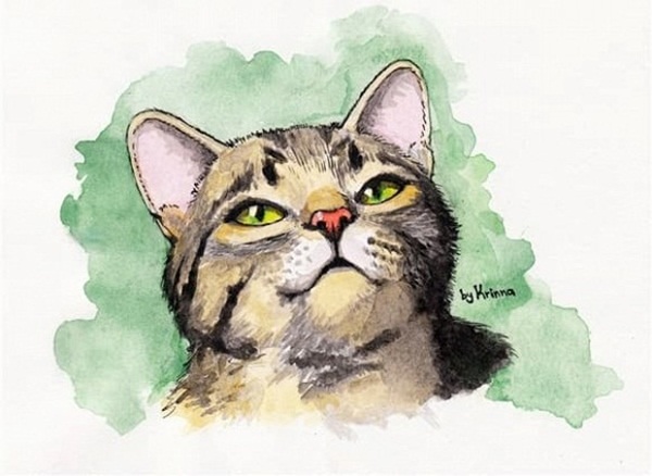 Phát tài cuối tuần (24-25/10), vận may dồn dập kéo đến với con giáp này, đếm tiền cũng mỏi tay-2