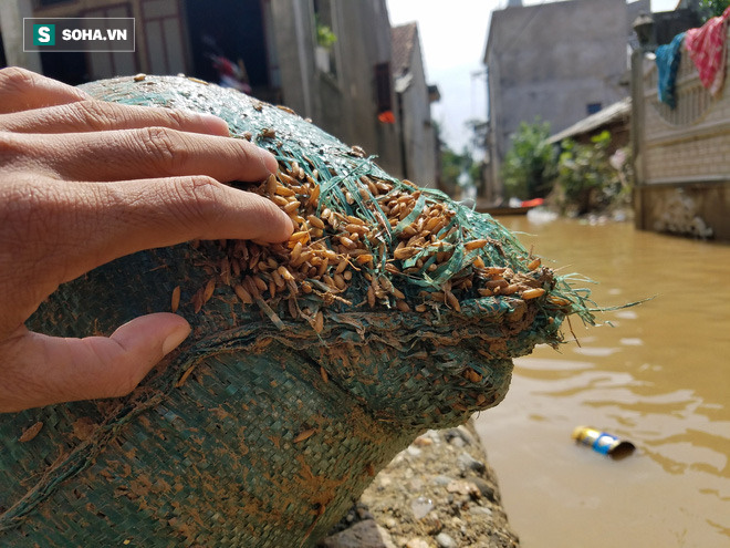 Tường trình từ vùng rốn lũ Lệ Thủy: Nhà sập, tay trắng, không còn nước mắt để khóc-11