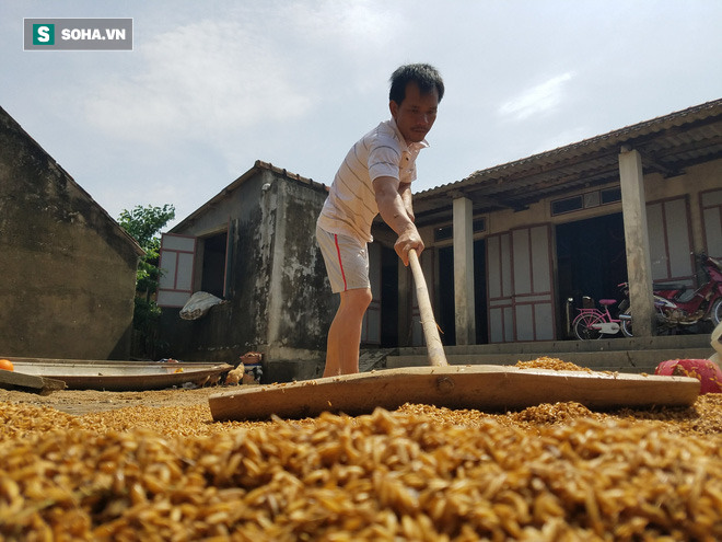 Tường trình từ vùng rốn lũ Lệ Thủy: Nhà sập, tay trắng, không còn nước mắt để khóc-14