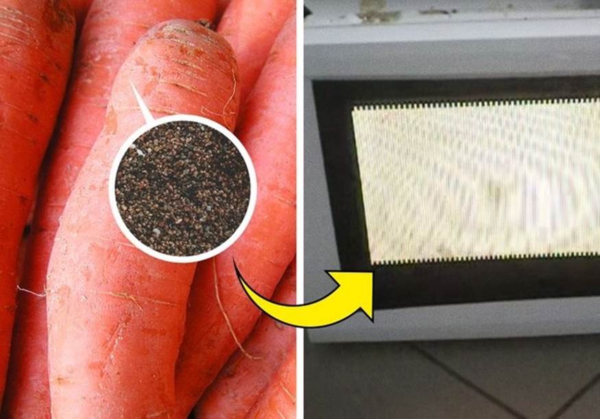 Chớ dại cho 7 loại thực phẩm này vào lò vi sóng nếu không muốn gặp sự cố đáng tiếc-2