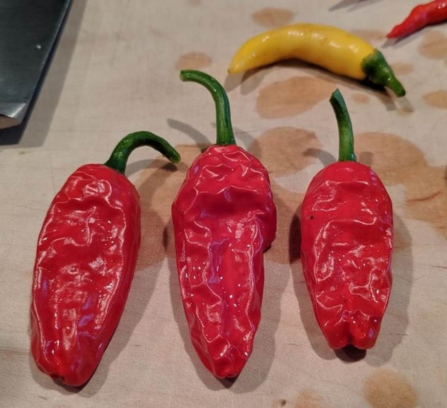 Chớ dại cho 7 loại thực phẩm này vào lò vi sóng nếu không muốn gặp sự cố đáng tiếc-5