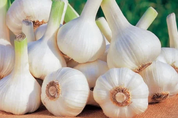 Muốn ngồng tỏi giữ màu xanh ngon mắt, chị em nhớ thêm bước này khi xào-4