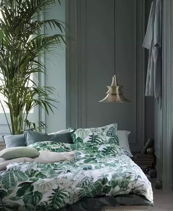 Những mẹo trang trí làm cho ngôi nhà có màu xanh thiên nhiên mà 99% mọi người không biết-3