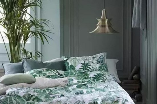 Những mẹo trang trí làm cho ngôi nhà có màu xanh thiên nhiên mà 99% mọi người không biết